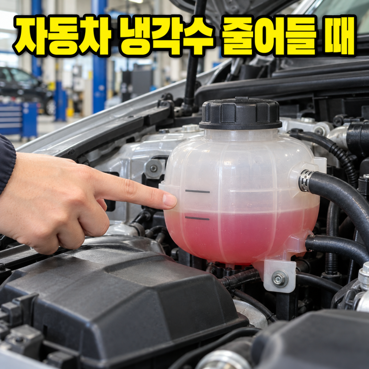 본문 이미지 1